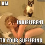 Lolcat = masters of the universe
