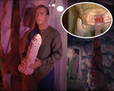 captain-kirk-goatse